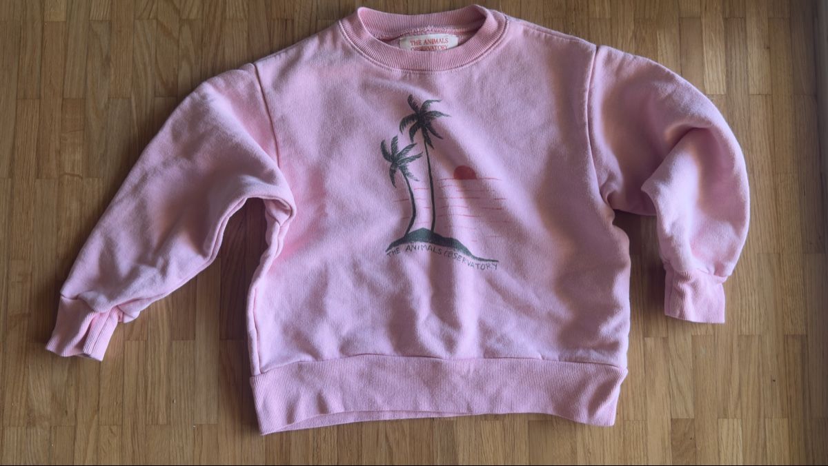 Pulls et sweat-shirts: THE ANIMALS OBSERVATORY Pullover gr.104 – D'occasion à Luzern par ja_0707