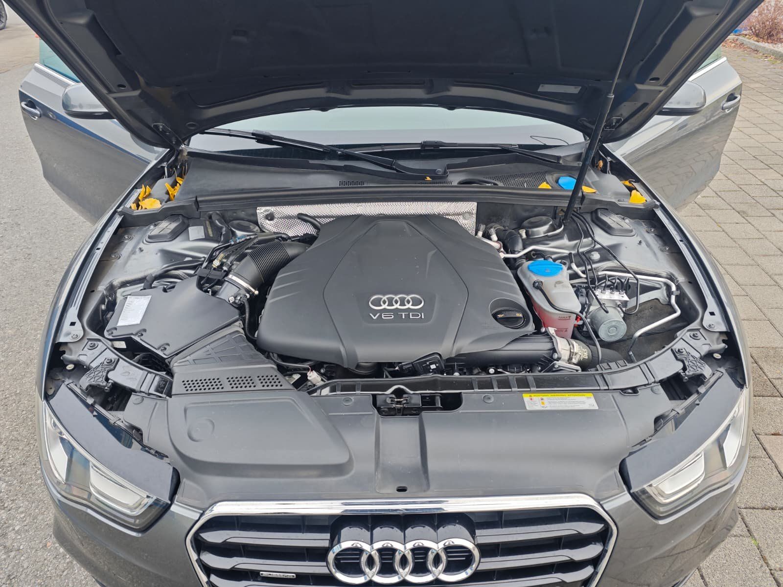 Audi Automobili: Audi A5 Cabriolet 8F/B8 Facelift 3.0 TDI – Usato da Balgach venduto da GZ-Tech 4