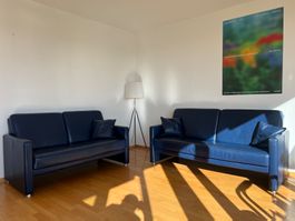 zwei Designer Ledersofas