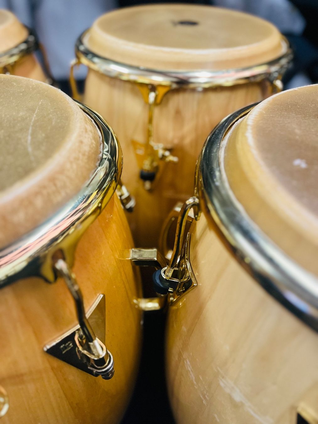 Strumenti musicali: LP Classic Congas (4 Stück) – Usato da zürich venduto da Stauffacher2000 4