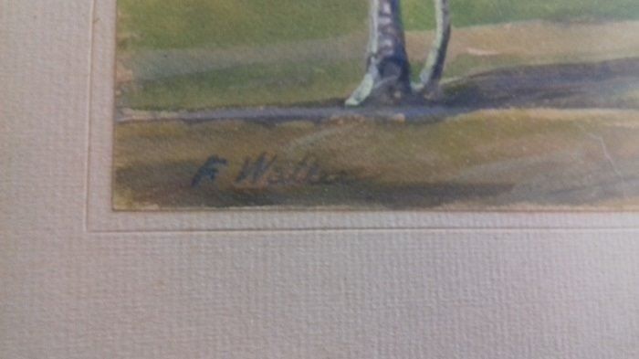 Dipinti: Aquarell  Baum/Landschaft von F. Waller – Usato da Binningen venduto da blackhorse08 2