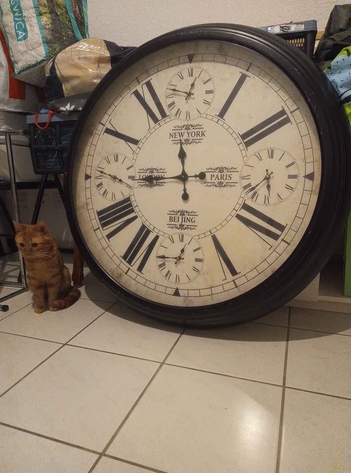 Orologi da terra & Orologi da parete: Horloge mural – Usato da Bienne venduto da Daniel_Schader 1