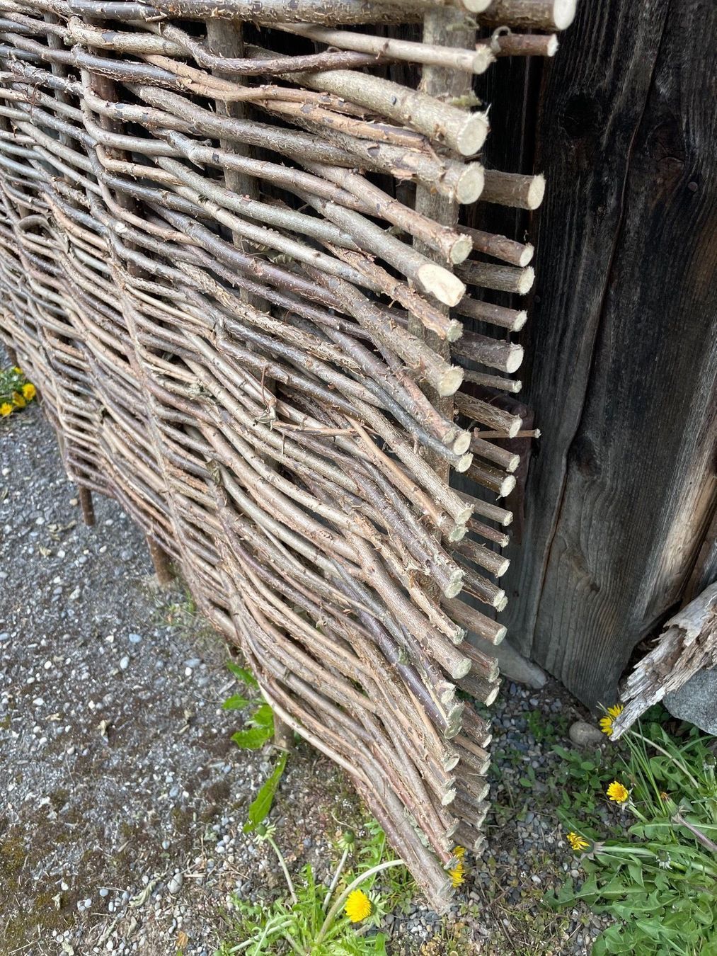 Fendivista: Haselzaun 180 x 120 cm – Nuovo e nell'imballaggio originale da Thunstetten venduto da chriguoester 3