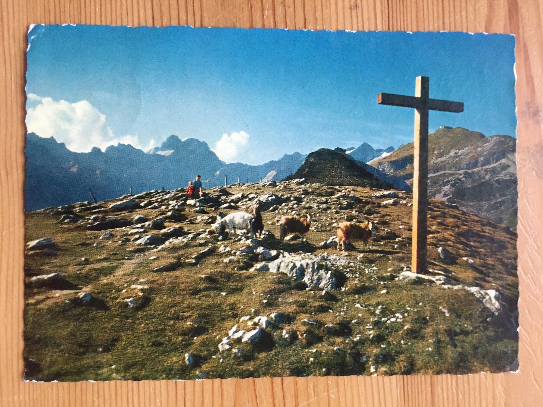 Cartoline postali: Ebenalp mit Altmann - Säntis - AK 1960 – Usato da Oberuzwil venduto da Henri09