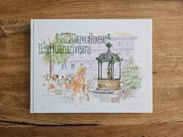 Antikes Buch: Zürcher Brunnen 1993 Wasserversorgung Zürich
