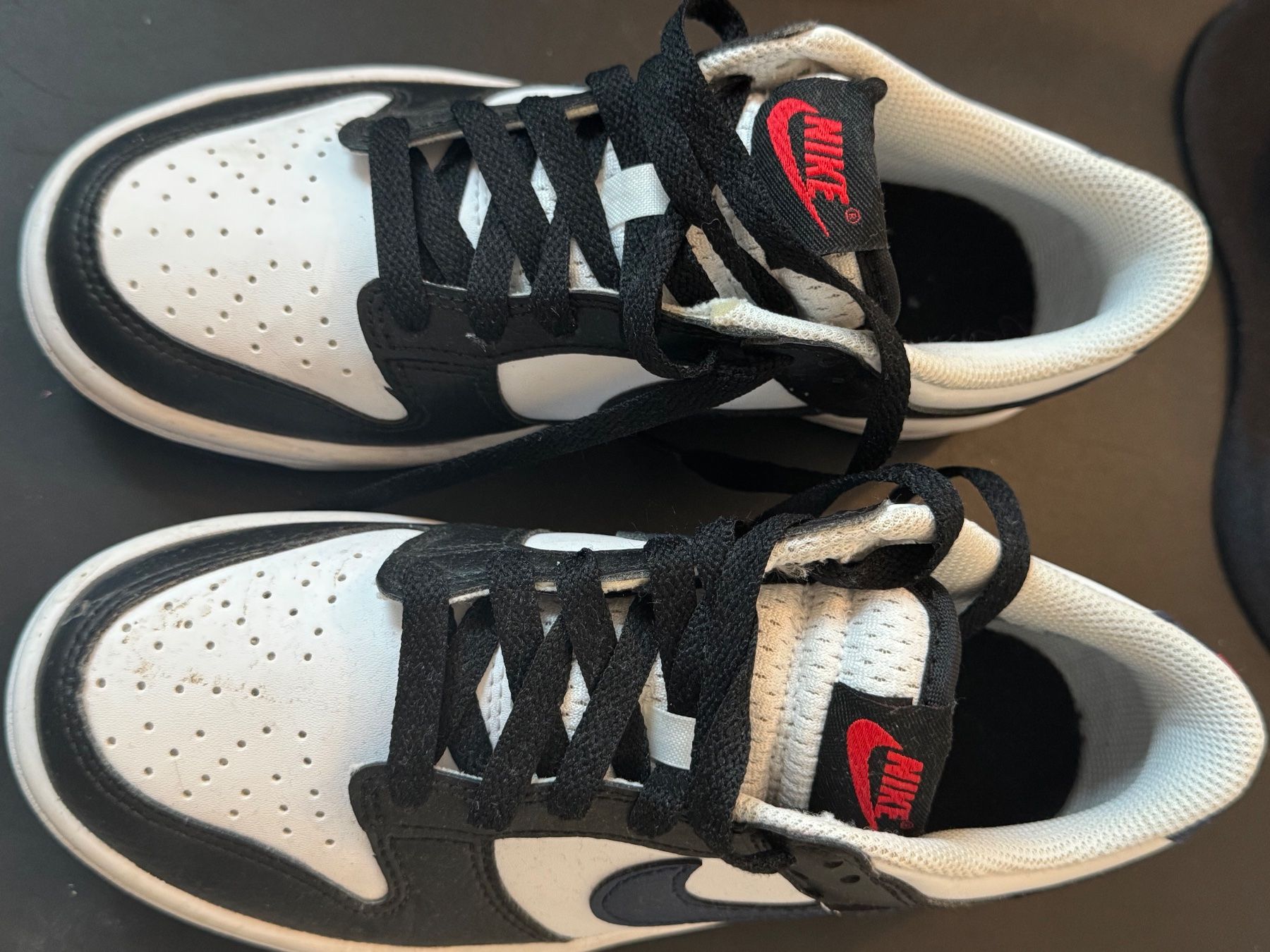 Nike Scarpe da uomo: Nike Dunk 36 – Usato da Chatelaine venduto da lae_7h8n