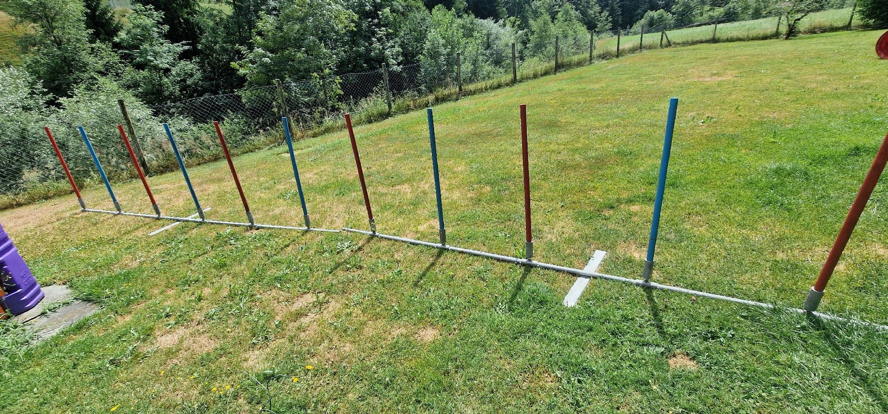 Giocattoli: hundeslalon – Usato da Fontannen venduto da est_2999