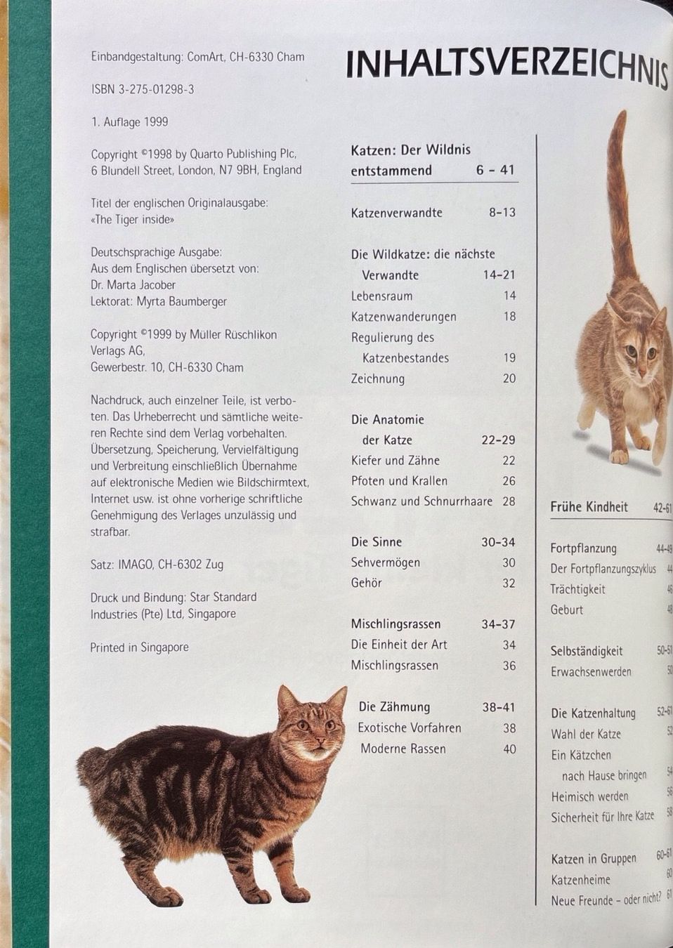 Libri: Alderton David, Die Katze der kleine Tiger – Nuovo (secondo la descrizione) da Sarnen venduto da Livres 2