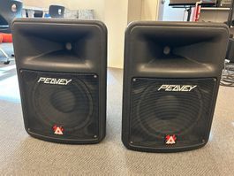 2 Peavey Impulse 100 Full Range Passivboxen