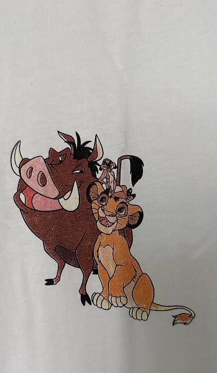Disney T-shirt: T-Shirt – Usato da Würenlingen venduto da agn_xs7b 1