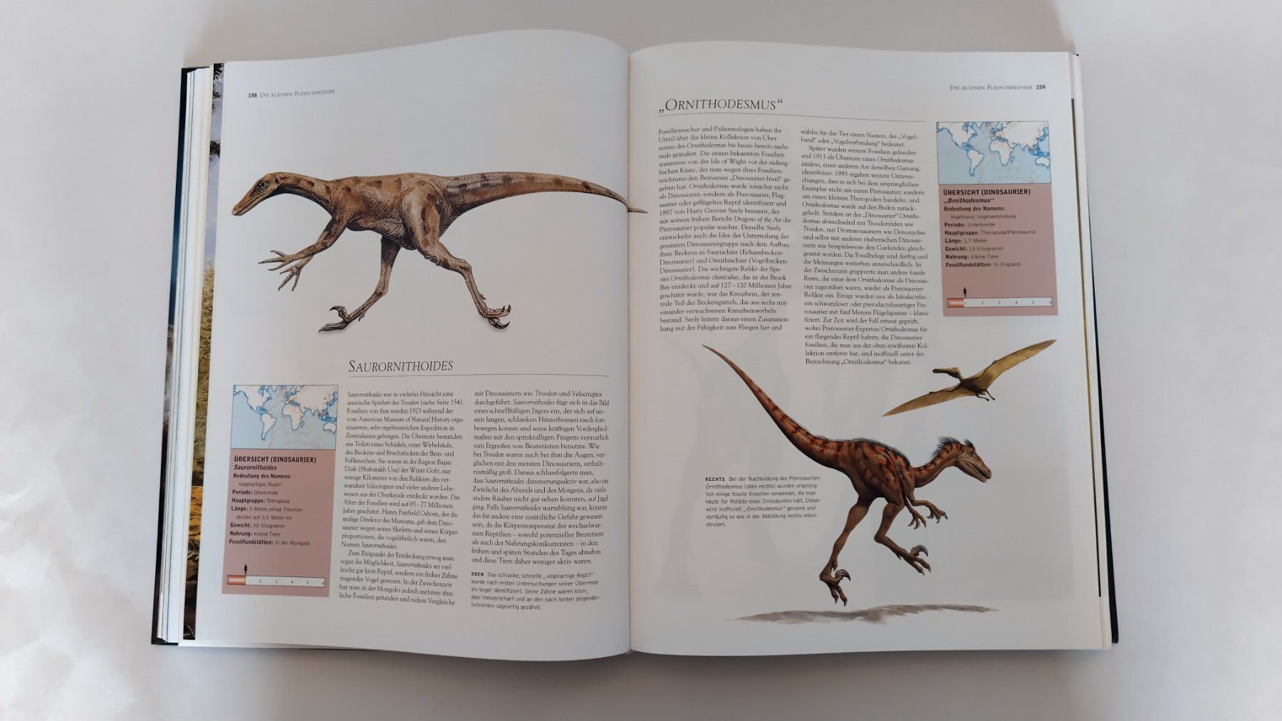 Libri: Dinosaurier / Buch 2004 mit 448 Seiten ab Fr. 14.- – Usato da Bellach venduto da JingleJerry 5