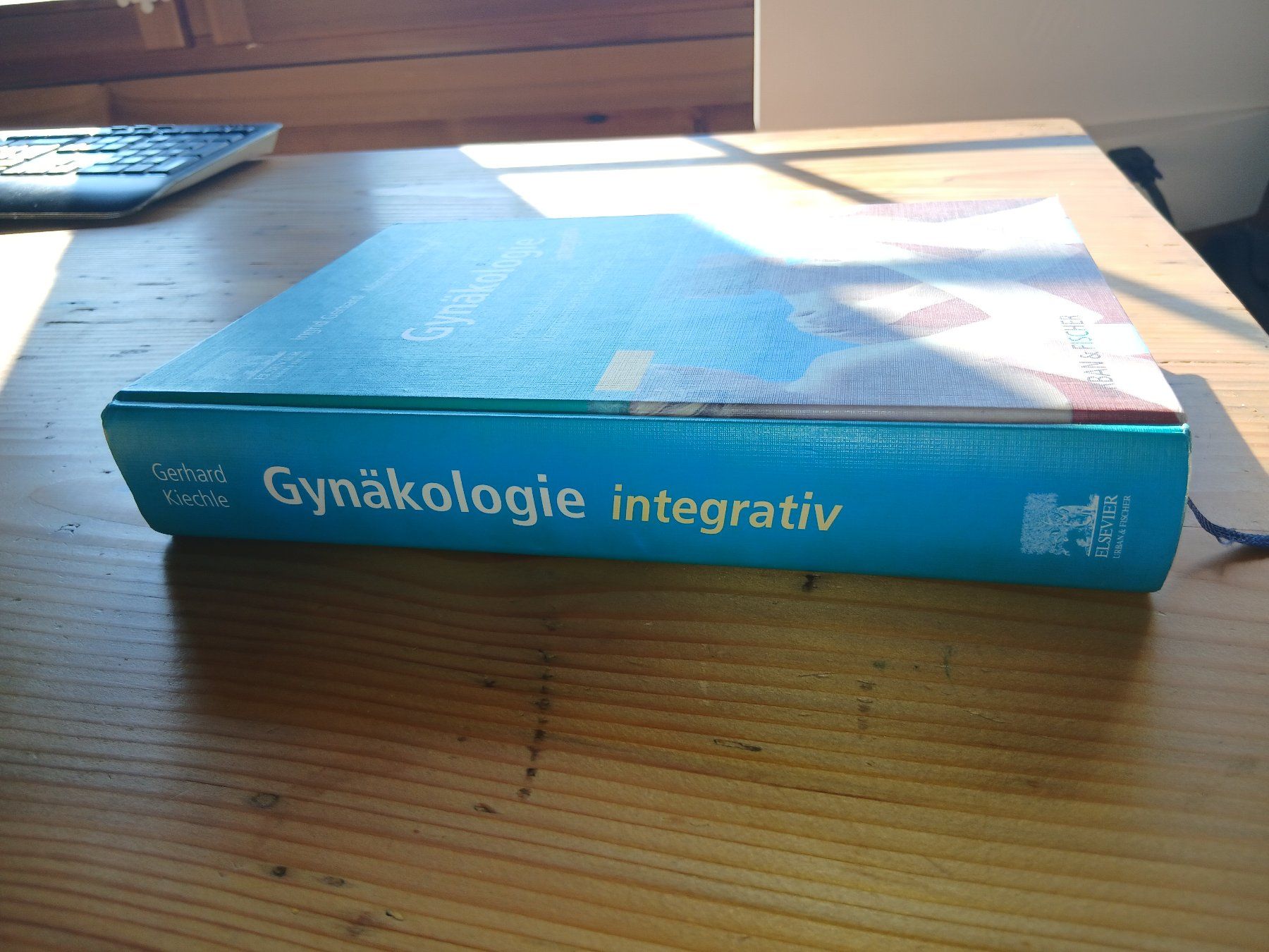 Libri: Gynäkologie integrativ – Usato da Oberegg venduto da hermosa 2