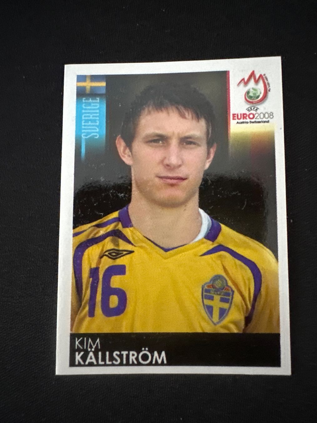 Panini Carte collezionabili: Panini UEFA EM 2008 Sticker - Nr. 402 – Usato da Sulz AG venduto da DealWerk