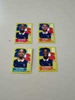 PANINI 4 Sticker FRA