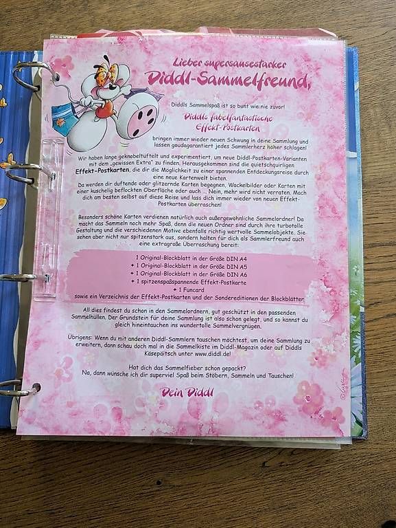 Ordner: Diddlsammelordner  – Gebraucht aus Mels von key510 1