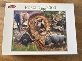 Puzzle The Big Five 2000 Teile Wildtiere Motiv neuwertig