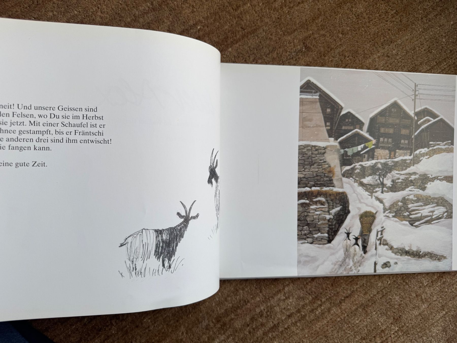 Libri: Lieber Alex -Helen Güdel – Usato da Aarau venduto da Kilauea 1