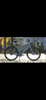 Ampler Juna E-Bike – Akku defekt