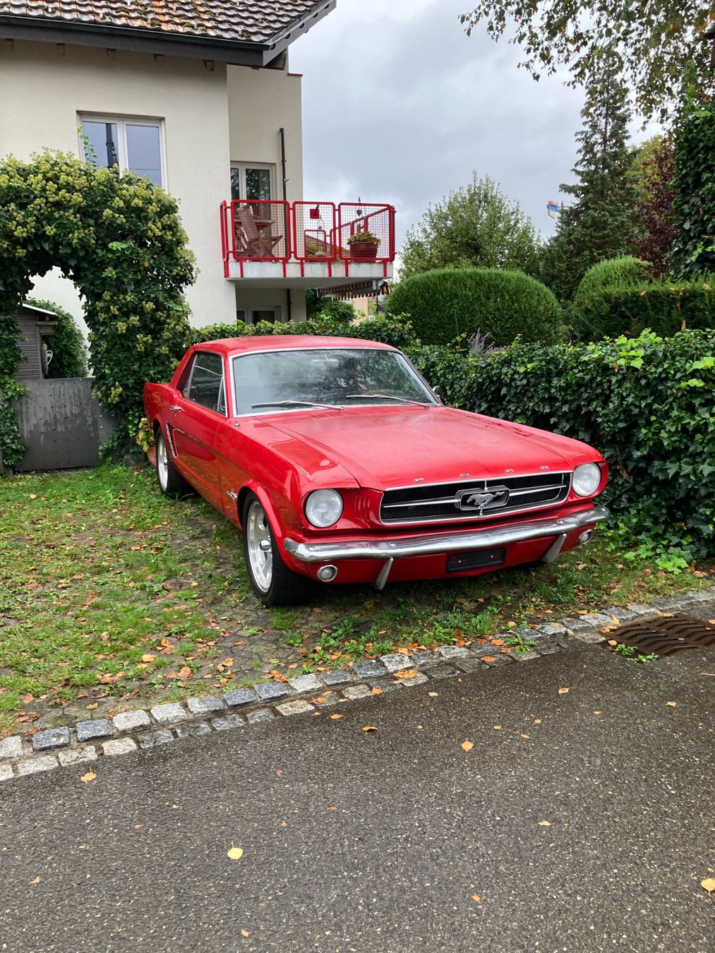 Ford Automobili: 1965 Ford Mustang Coupe – Usato da Wallisellen venduto da zsc101 1