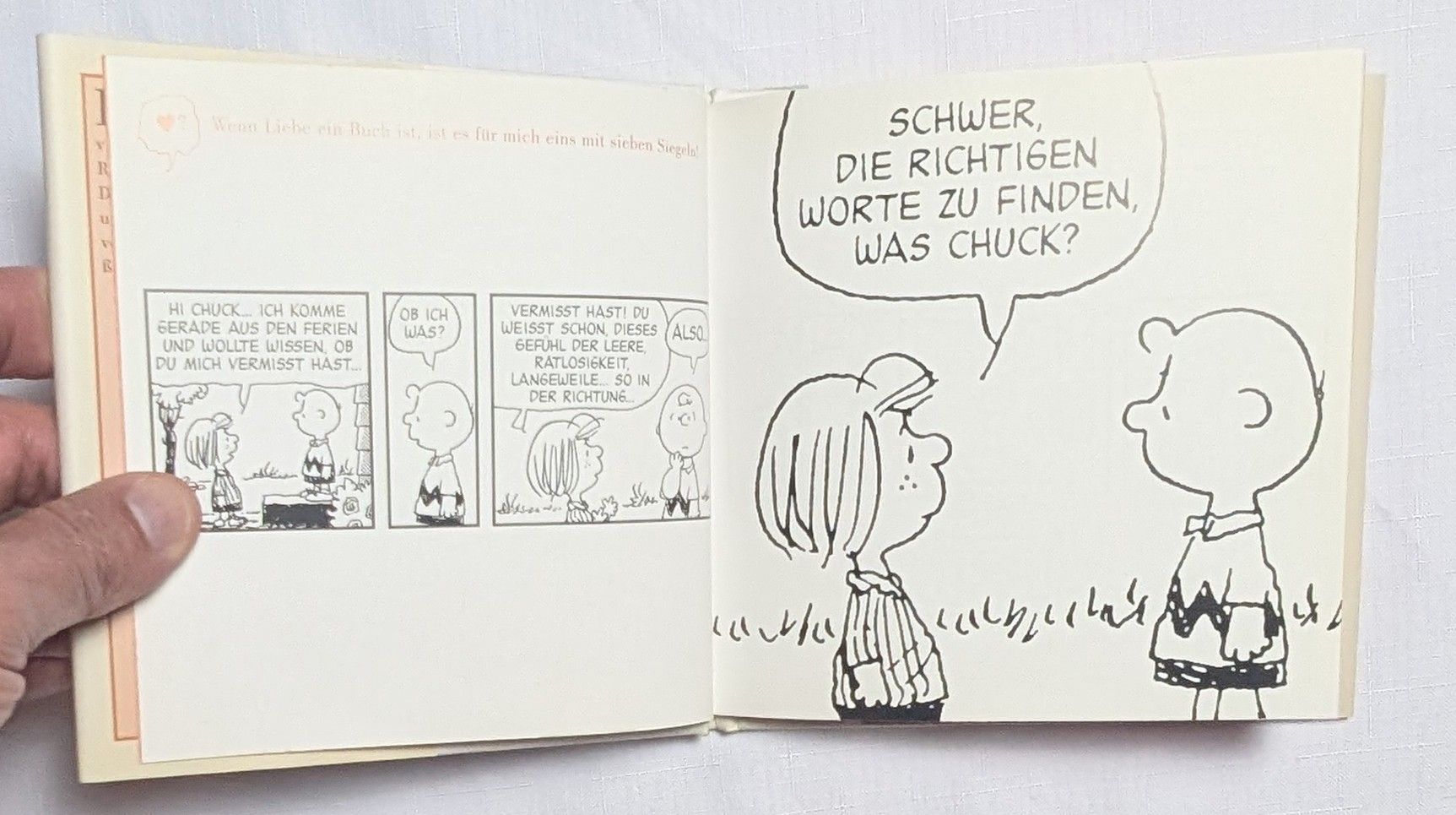 Libri: The Penuts - Snoopy - Charles M. Schulz – Nuovo (secondo la descrizione) da Wängi venduto da ABIZONE-86 1