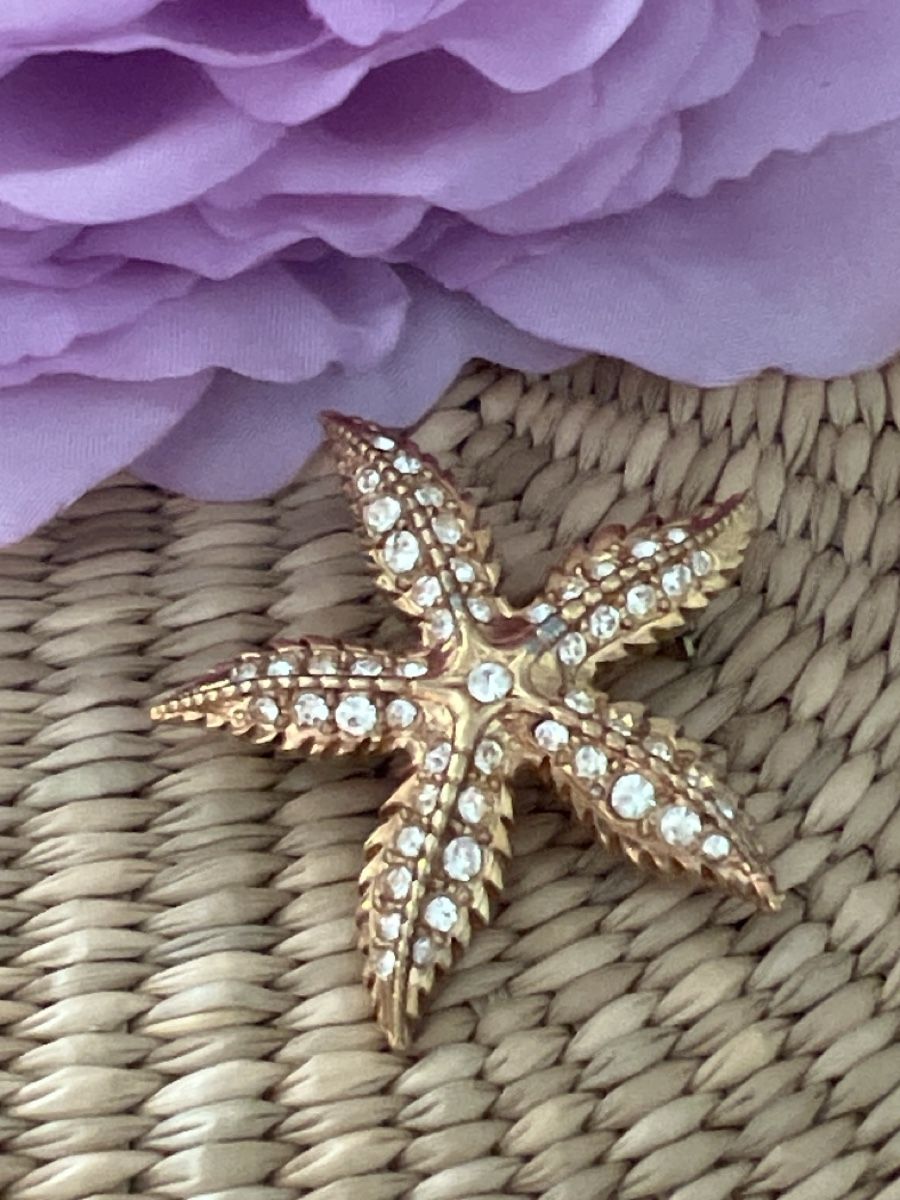 Broches & Aiguilles: Schöne Seestern Brosche  – Neuf (Voir description) à Seon par Sunny-Schmuck78 1