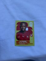 Denis Zakaria