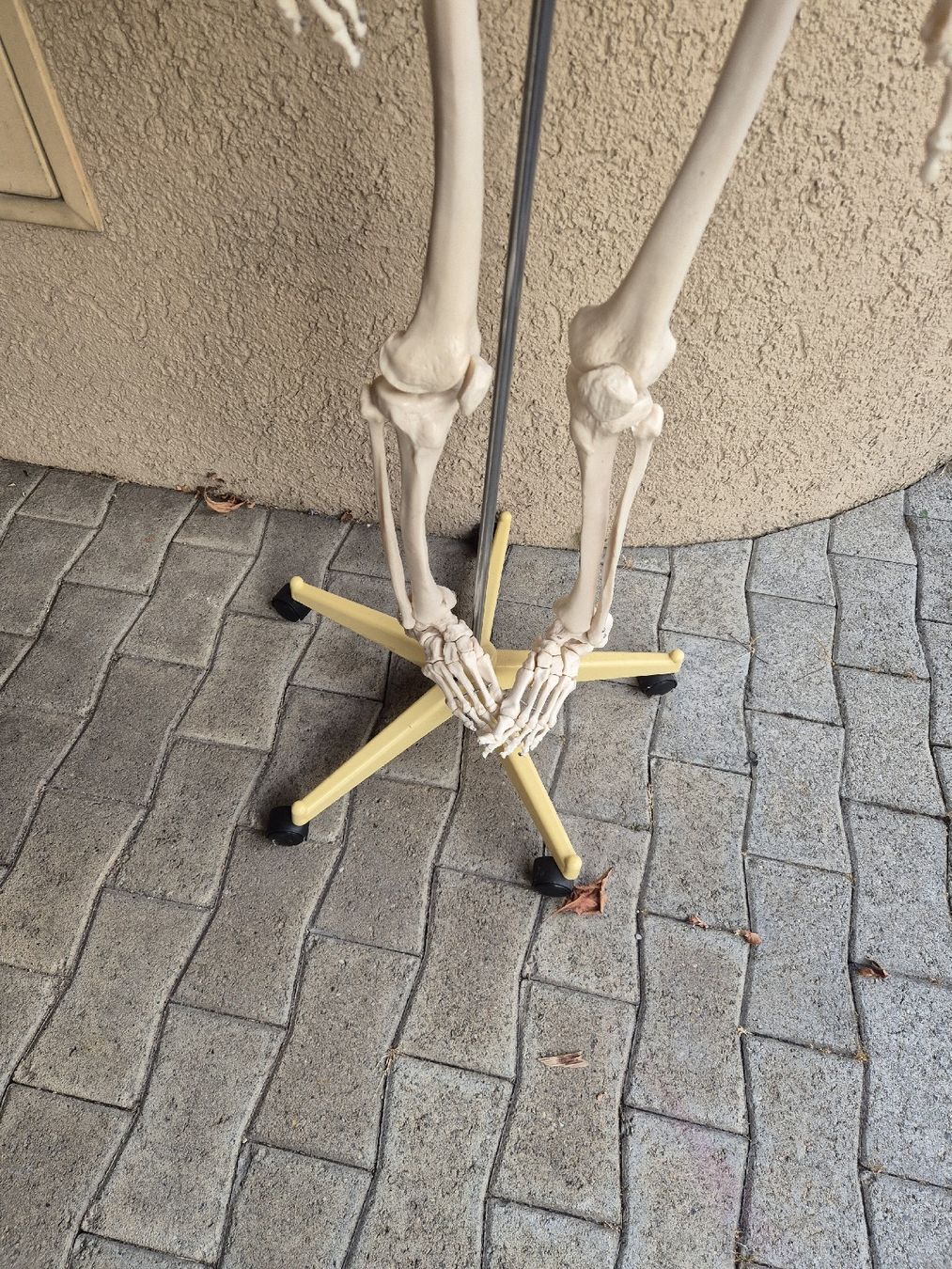 Kit di modellismo & Modellini statici: Skelettmodell Anatomie menschlich mit Ständer – Usato da Bischofszell venduto da Ionspeaker 2