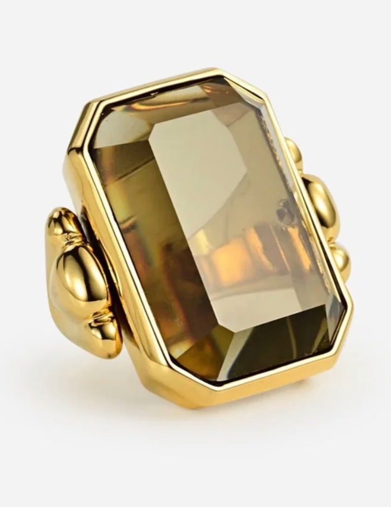 Ringe: Ring – Gebraucht aus Zürich von Coccinella03