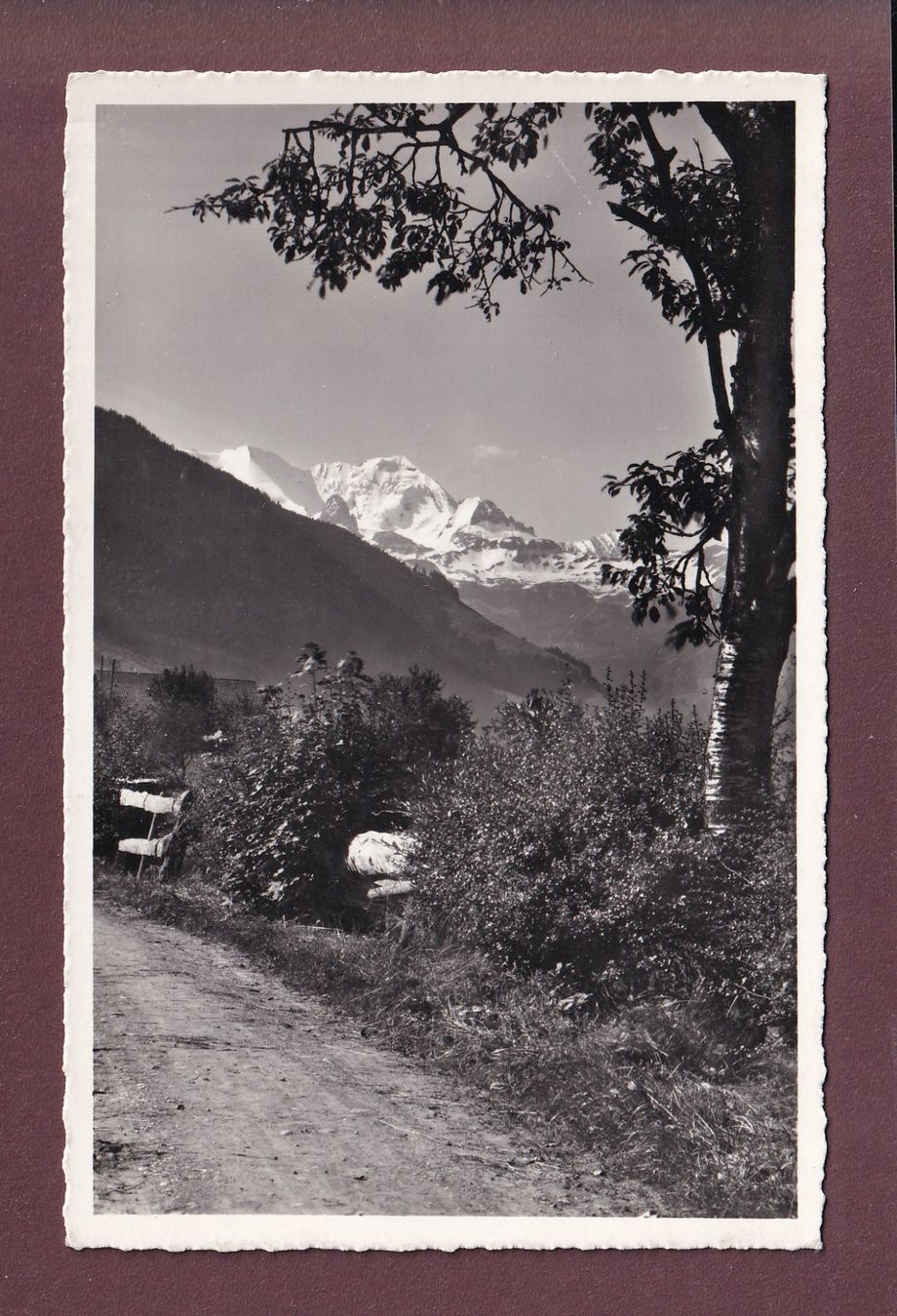 Cartoline postali: BLÜMLISALP von Aeschi aus - 1959 – Usato da Pully venduto da nicecards