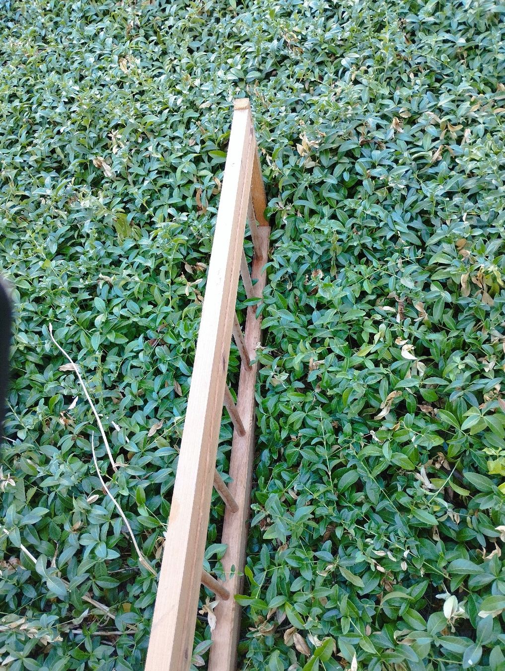 Echelles: Holzleiter Leiter natur – D'occasion à Ostermundigen par Dinge1 2