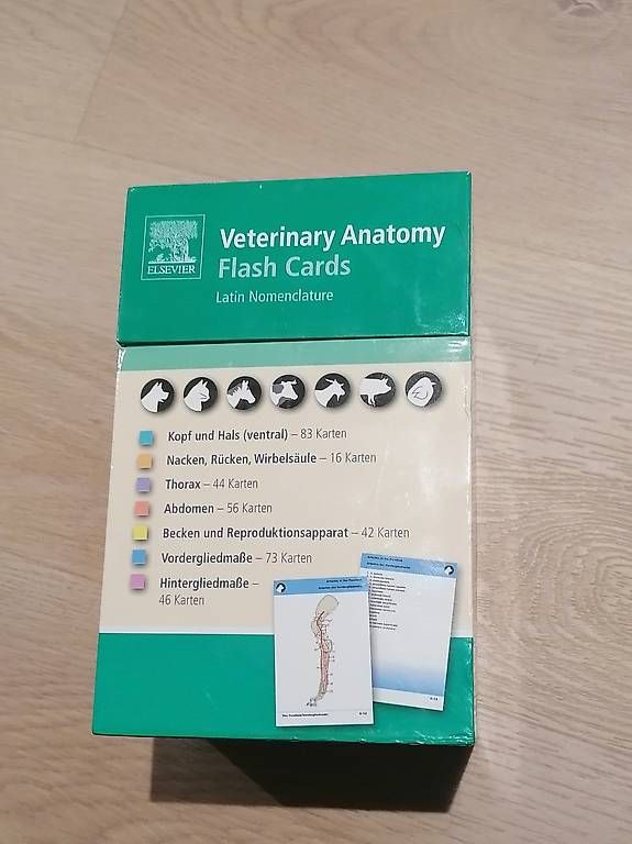 Altro materiale scolastico: Lernkarten Veterinäranatomie Elsevier – Usato da Koppigen venduto da san_k8ny 1