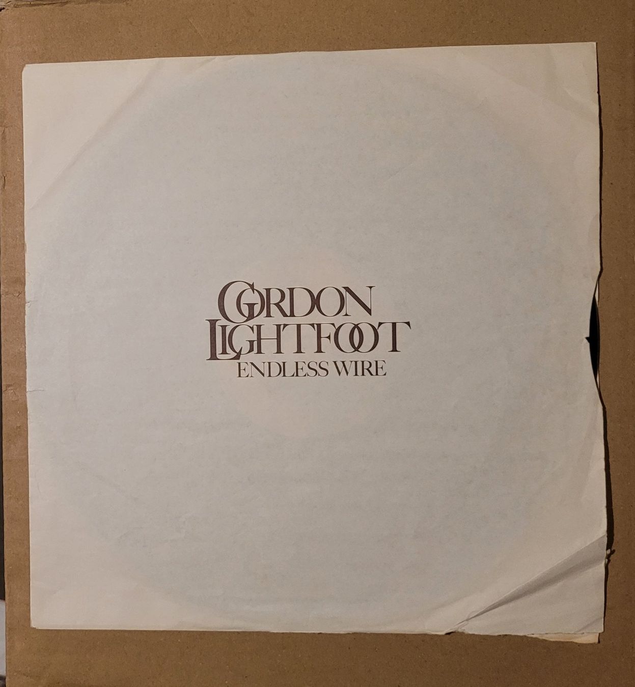 Dischi in vinile: Gordon Lightfoot – Endless Wire – Usato da Zürich venduto da Avd 6