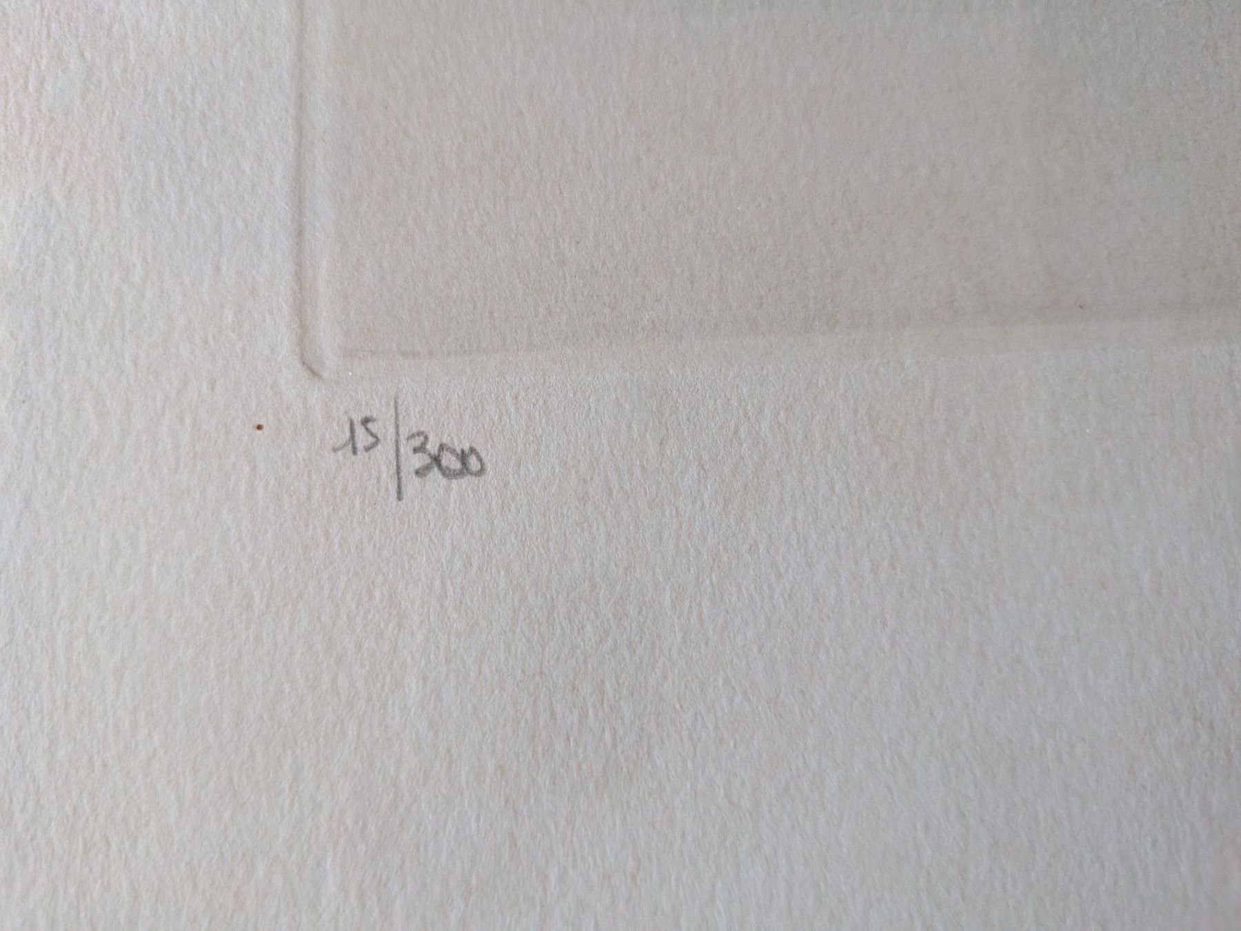 Grafica & Litografie: Lithographie Salvador Dali – Usato da Emmen venduto da magelan 3