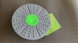 Balanceboard Schildkröt