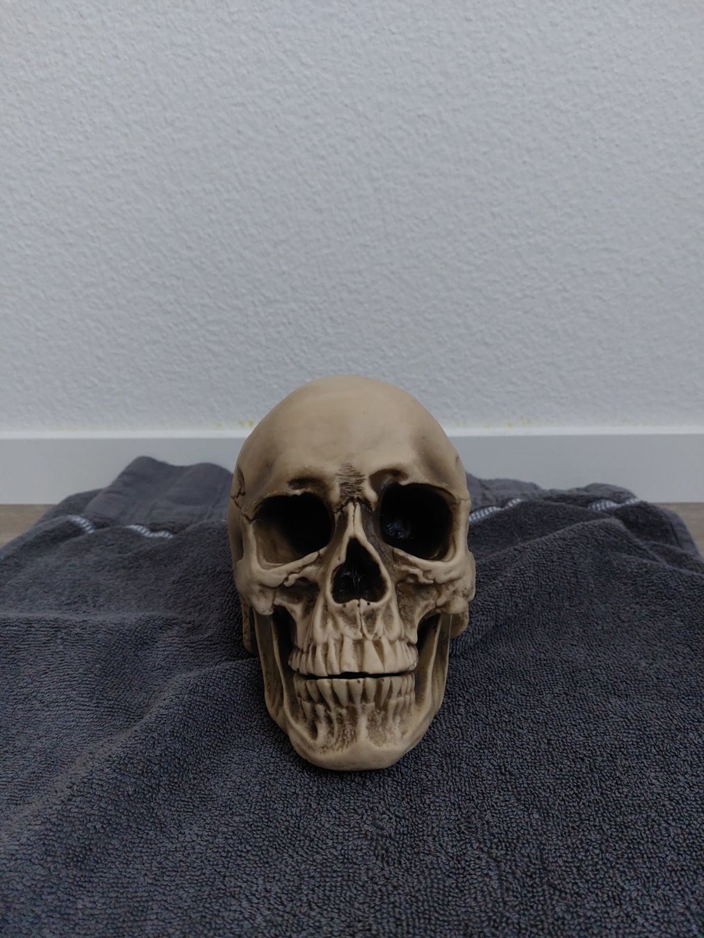 Toutes les décorations: Plastikschädel Halloweendeko – Neuf (Voir description) à Wangs par Manda30