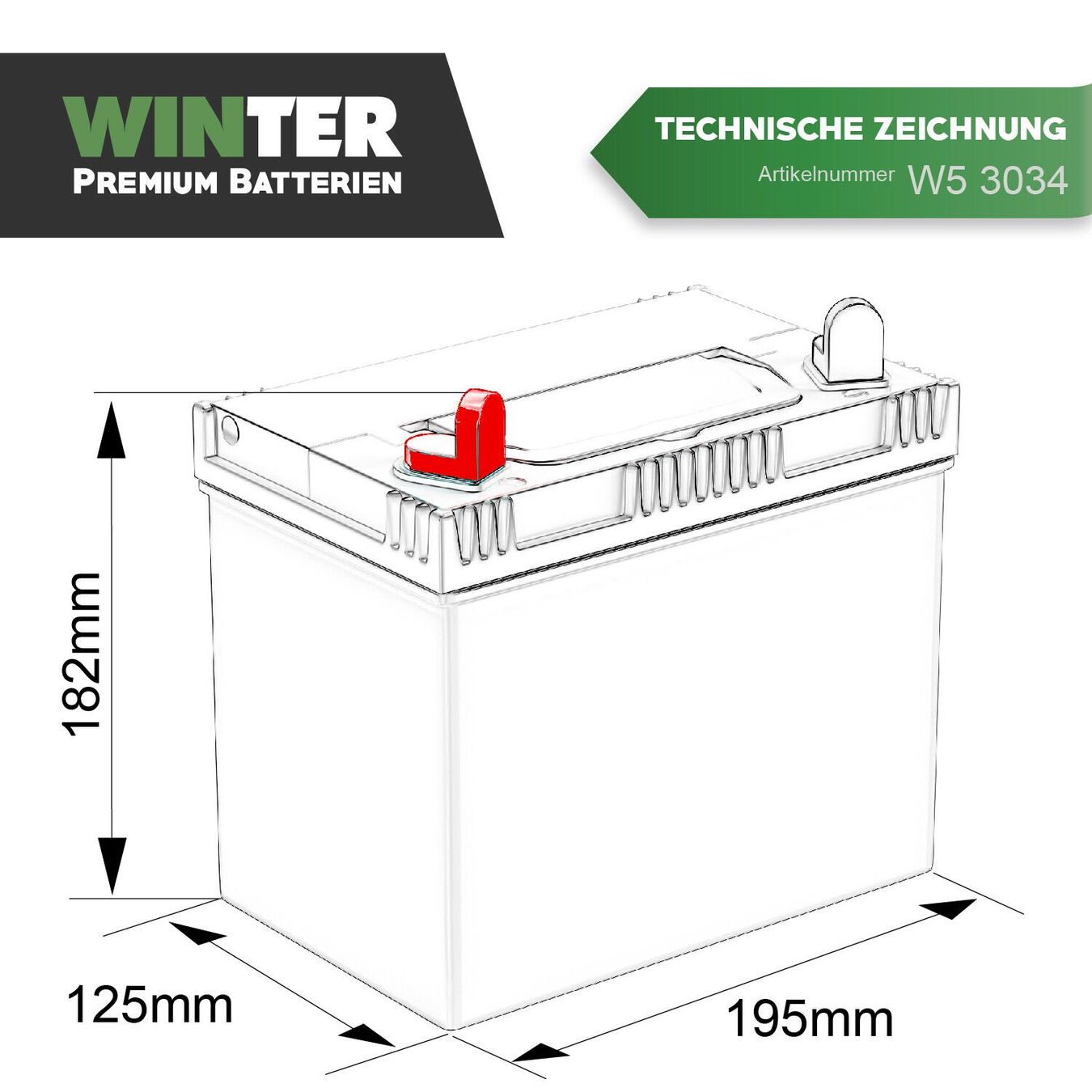 Batterien: WINTER Rasentraktor Batterie 30Ah – Neu und originalverpackt aus Bottighofen von zaap 6