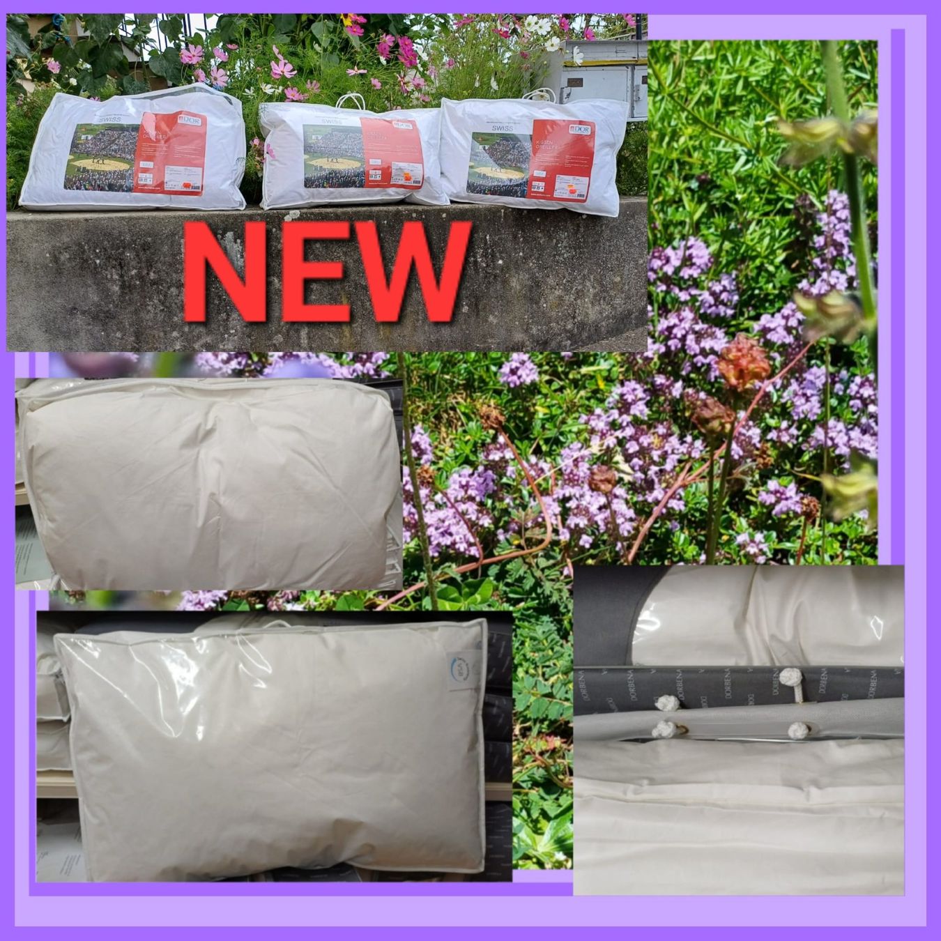 Cuscini: Coussin literie1350gr.bonne qualité – Nuovo e nell'imballaggio originale da Payerne venduto da jea_m6nb 5