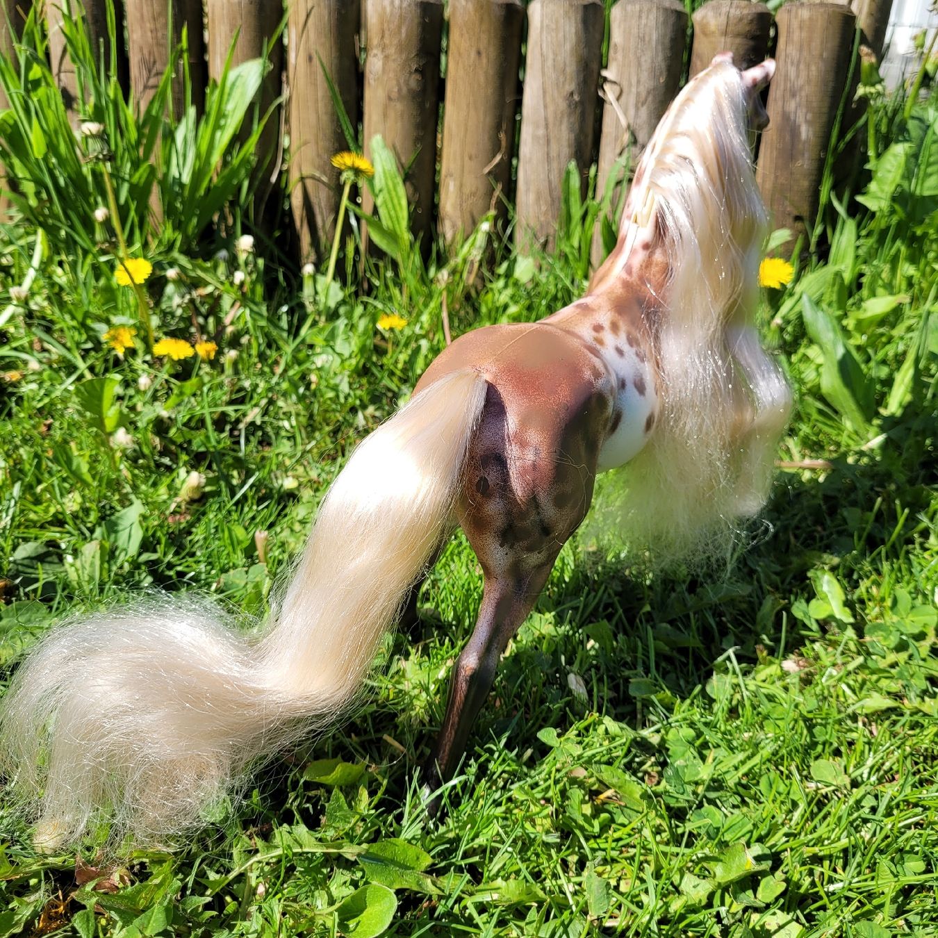Giocattoli: Barbie Pferd Savanna Repaint/Unikat – Usato da Niederbuchsiten venduto da klengyel 3