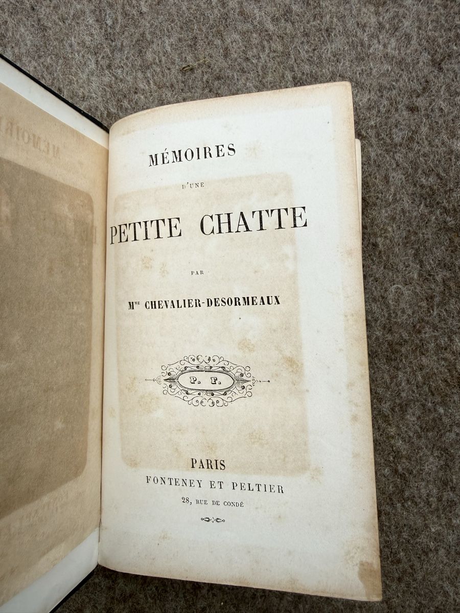 Libri: Mémoire d’une chatte par Desormaux – Usato da Fribourg venduto da Ardoffel 4