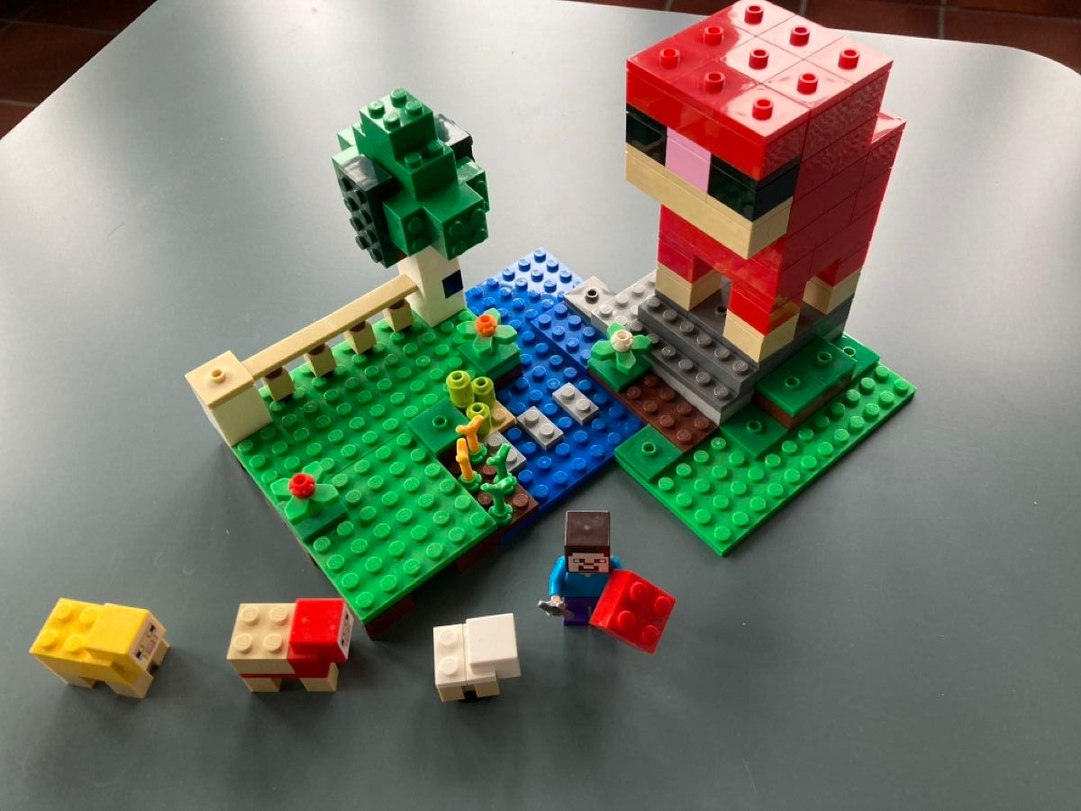 Lego Kit di costruzioni: Lego Minecraft Das Schaf  21153 – Usato da Bergdietikon venduto da Ricardola 6