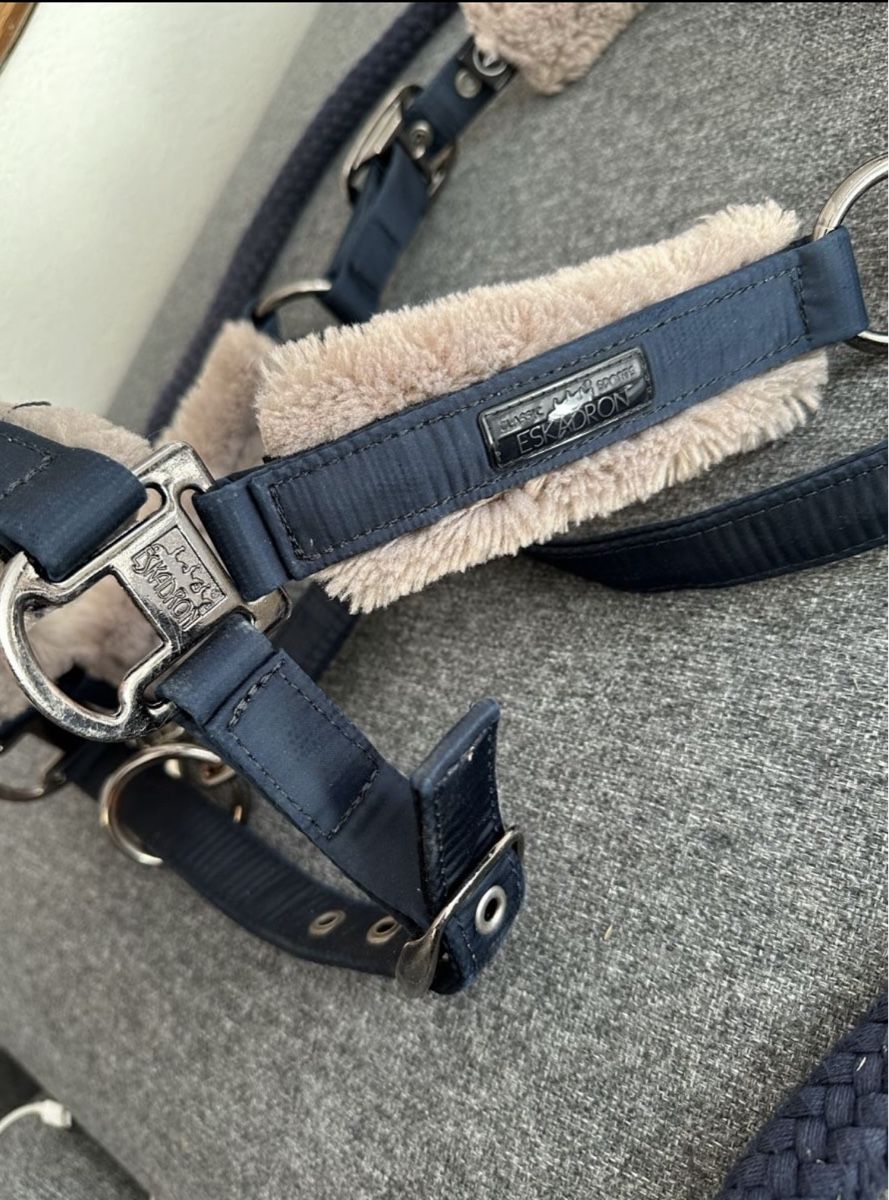 Eskadron Briglie & Cavezze: Eskadron-Halfter Gr.Cob – Nuovo (secondo la descrizione) da Niederhasli venduto da secondhand10 1