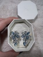 Swarovski Ohrringe
