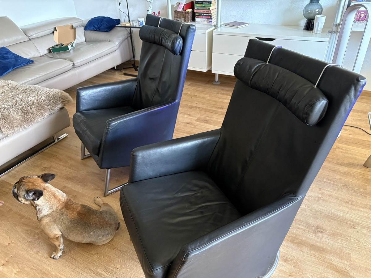 Sessel: Montis Ledersessel  – Gebraucht aus Birsfelden von jul_7wy6 1
