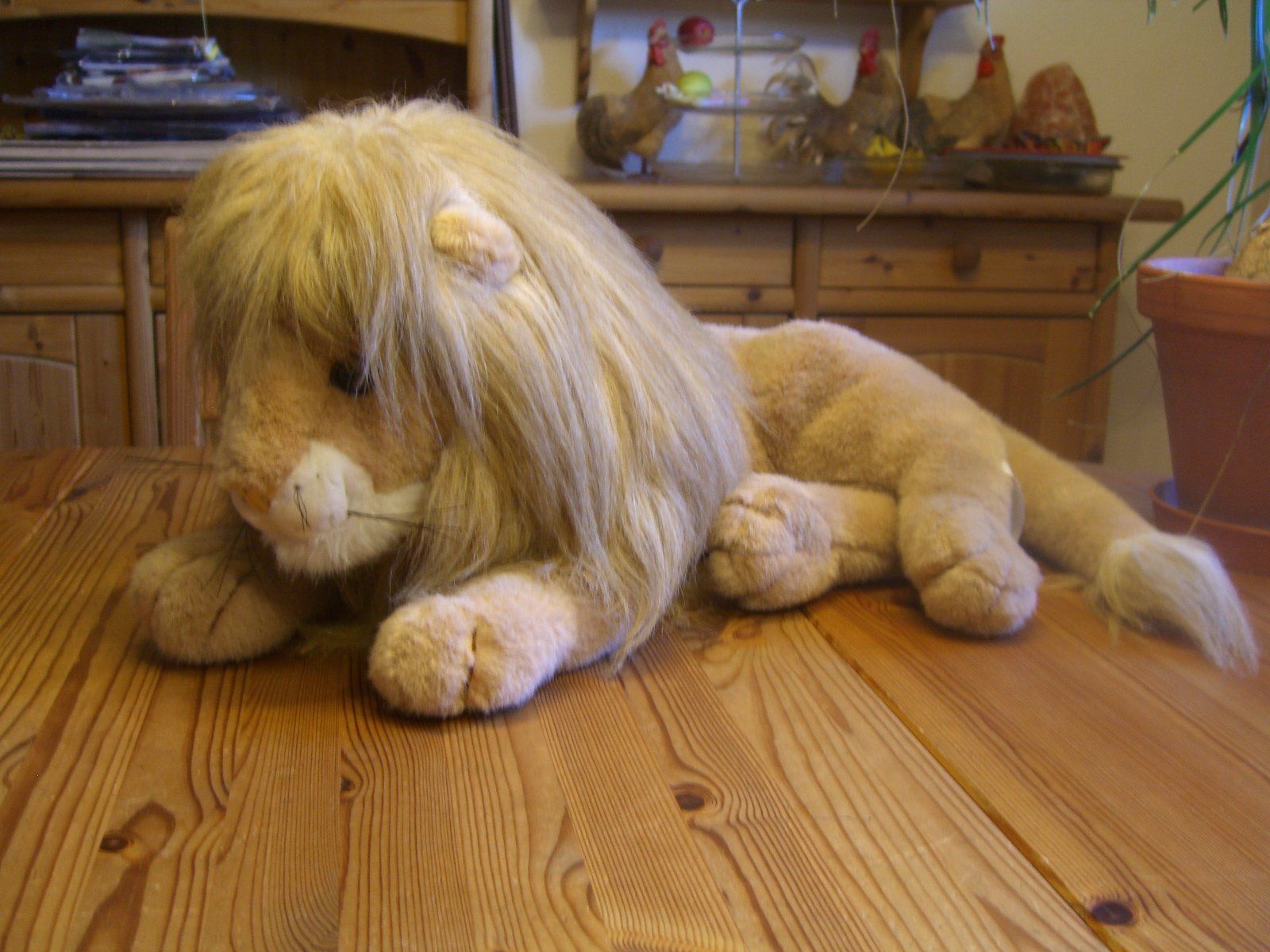 Statuette: Leo Löwe ist mit 65cm Grösse ein echter Riese ! – Usato da Winterthur venduto da Gaia 8