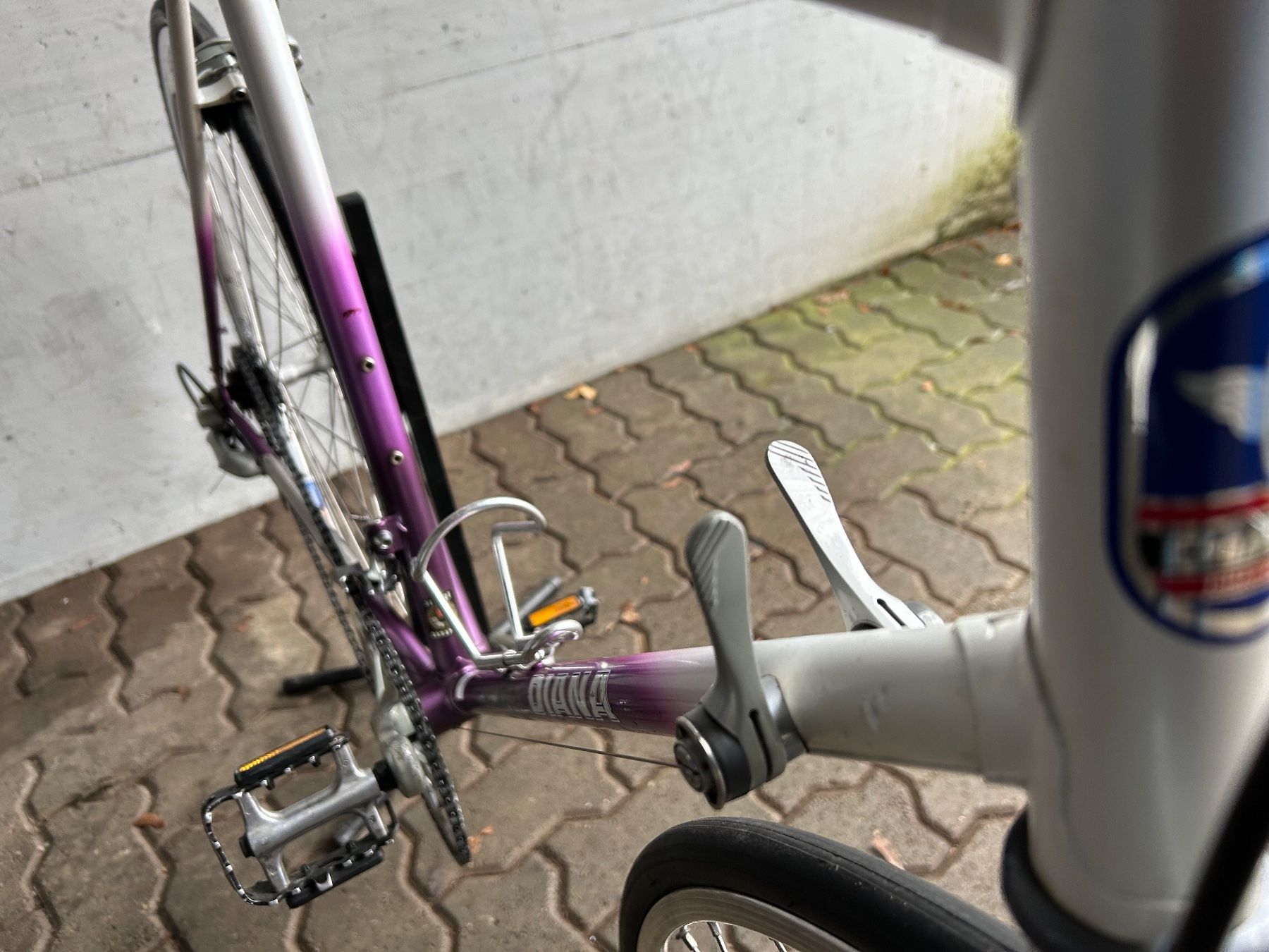 Biciclette: Diana Rennvelo – Usato da Adlikon b.Regensdf venduto da usado 5
