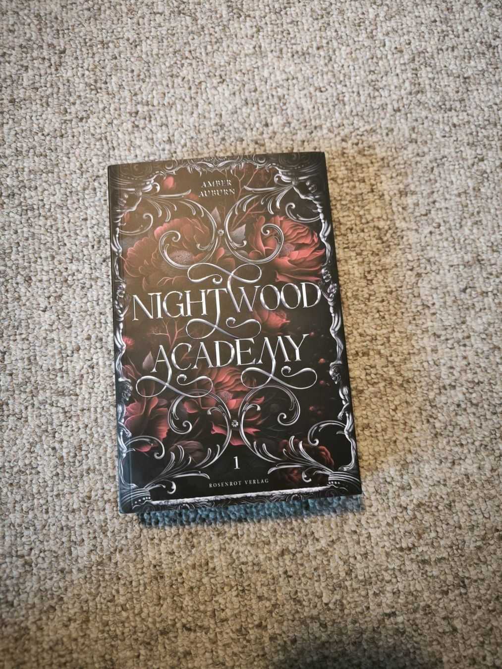 Bücher: Nightwood Academy - Amber Auburn – Neu (gemäss Beschreibung) aus Sargans von .isa_ 1