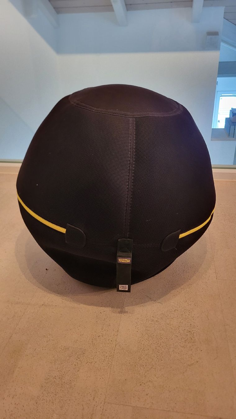 Technogym Ballons: Büro Sitzball mit Bezug Technogym – D'occasion à Grenchen par Scholli99