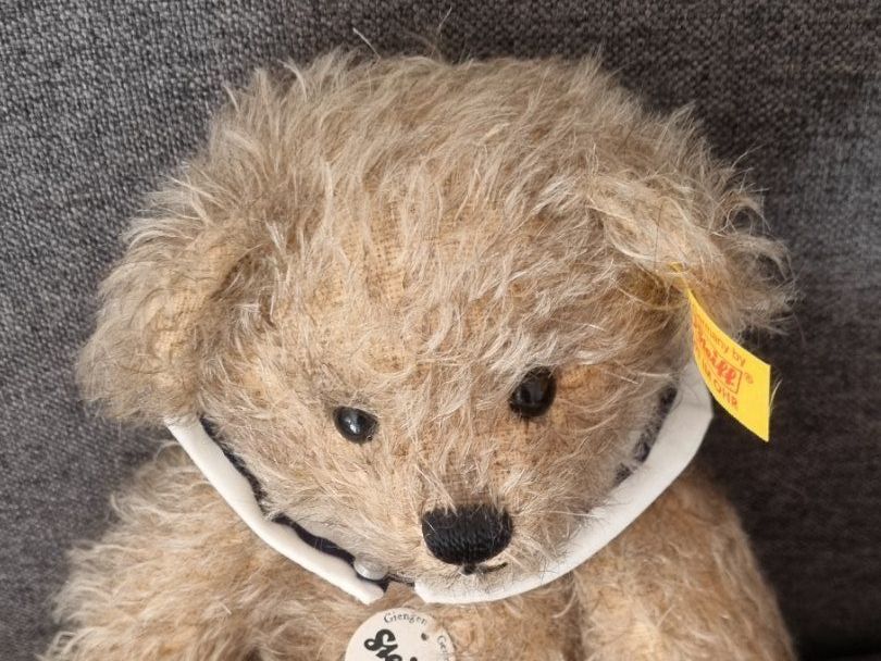 Steiff Giocattoli: Steiff Hannes, ca. 24cm unbespielt – Usato da Lenzburg venduto da friedi5 1