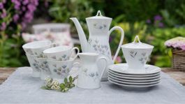 Rosenthal "Form 2000 Blütenspiel" Kaffeeservice, 15-teilig 