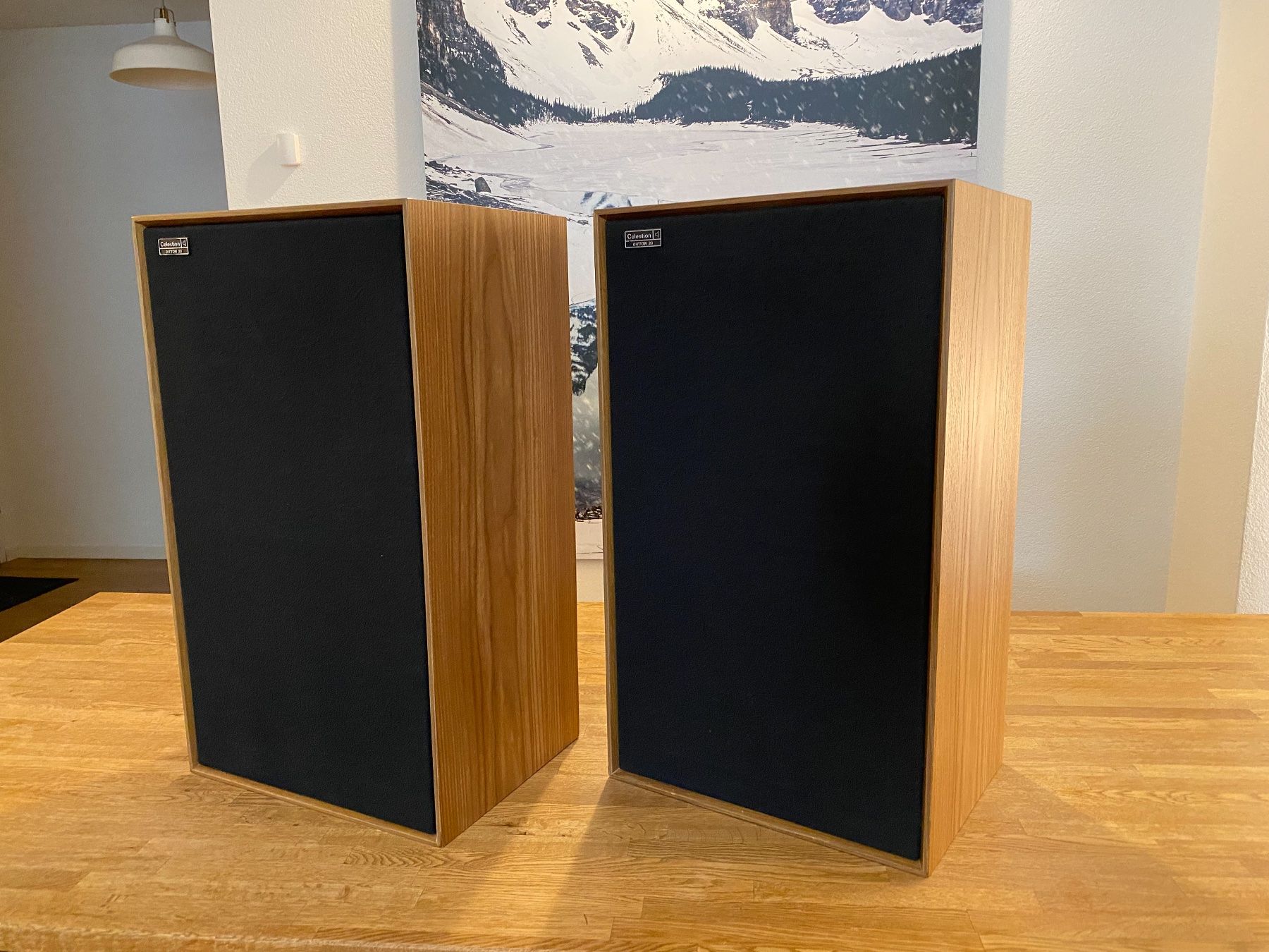 Haut-parleurs: Celestion Ditton 33 – revidiert – D'occasion à Zürich par Hundertfoif 2